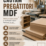 Pregatitori MDF, Bucuresti